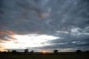 DSC_0579-550