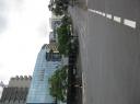 IMG_1737-550