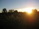 IMG_1174-550