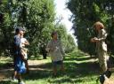 IMG_1246-550
