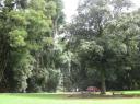 IMG_1853-550