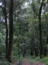 IMG_1855-550