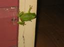 IMG_1861-550