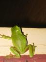 IMG_1862-550