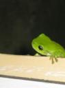 IMG_1865-550