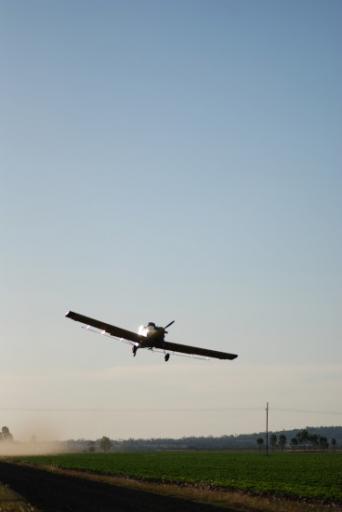 DSC_0049-550