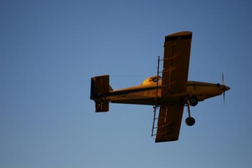 DSC_0051-550