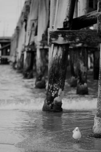 DSC_0078k