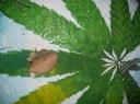 100_2560-550
