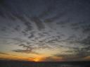 IMG_0447-550