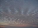 IMG_0457-550