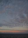 IMG_0458-550