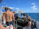 IMG_0490-550