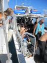IMG_0493-550