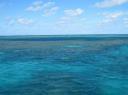 IMG_0498-550