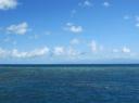 IMG_0499-550
