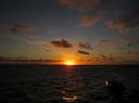 IMG_0503-550