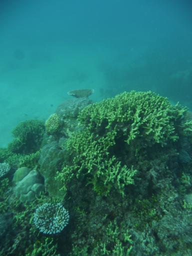 P1300552