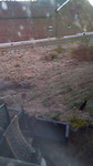 IMG-20170225-WA0004
