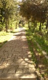 IMG_20150429_154705