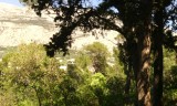 IMG_20150429_155134