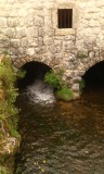 IMG_20150502_133207