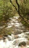 IMG_20150502_133709