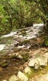 IMG_20150502_133756