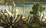 IMG_20150503_160317