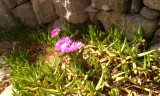 IMG_20150503_160240