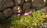 IMG_20150503_160250