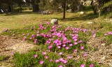 IMG_20150503_160457