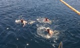 IMG_20150511_122924