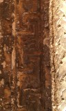 IMG_20150512_163024