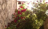 IMG_20150514_095017