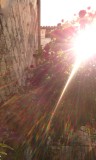 IMG_20150514_095024