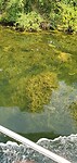Dag 15. Varen door een plantenbak.
