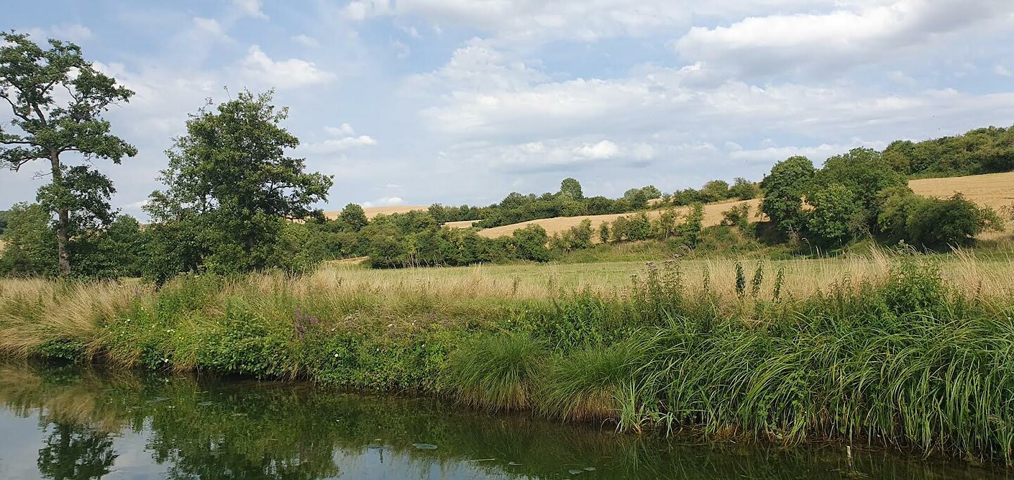 Dag 16. Landschap