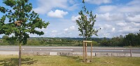 Dag 29. Het Albertkanaal ligt boven het landschap.
