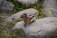 Lake Louise
