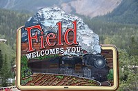 Field