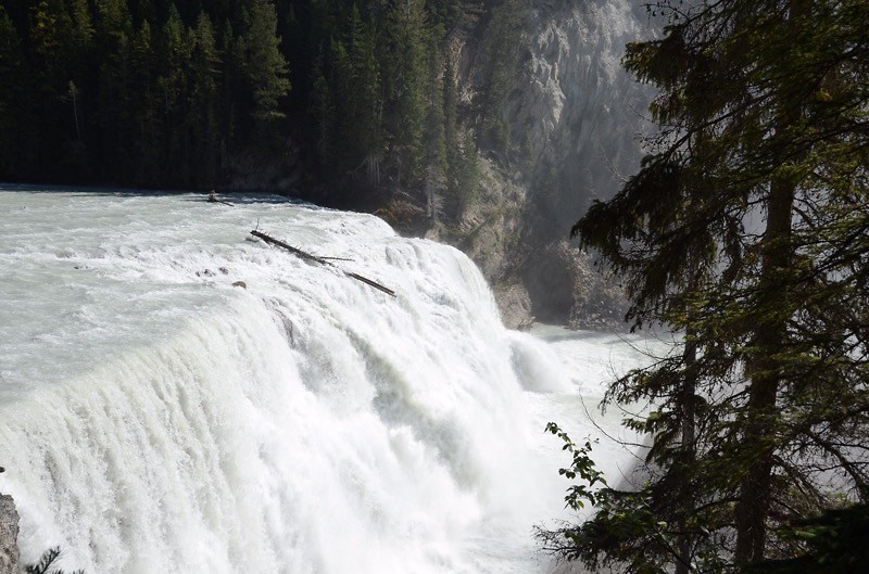 Wapta Falls