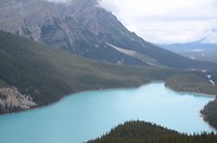 Peyto Lake