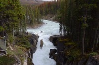 Sunwapta Falls