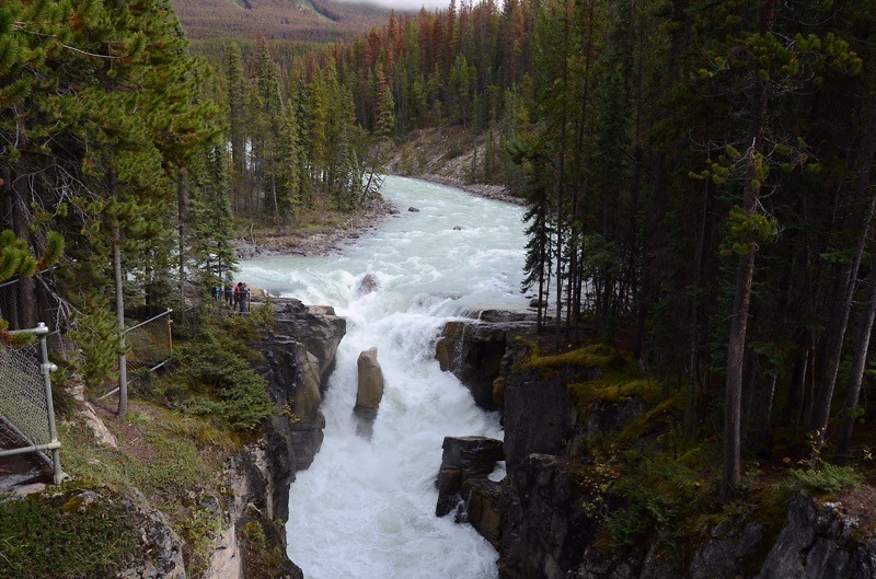 Sunwapta  Falls