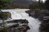 Athabasca Falls