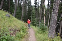 The Jasper Discovery Trail