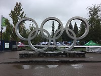 De Olympische Ringen (2010)