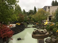 Whistler