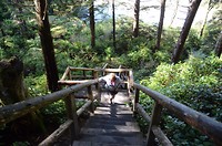 Rainforest wandeling